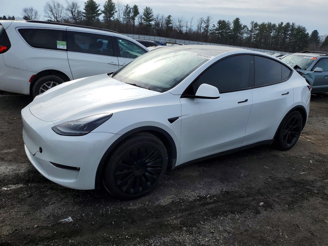 Вид 2022 TESLA MODEL Y, угол 1