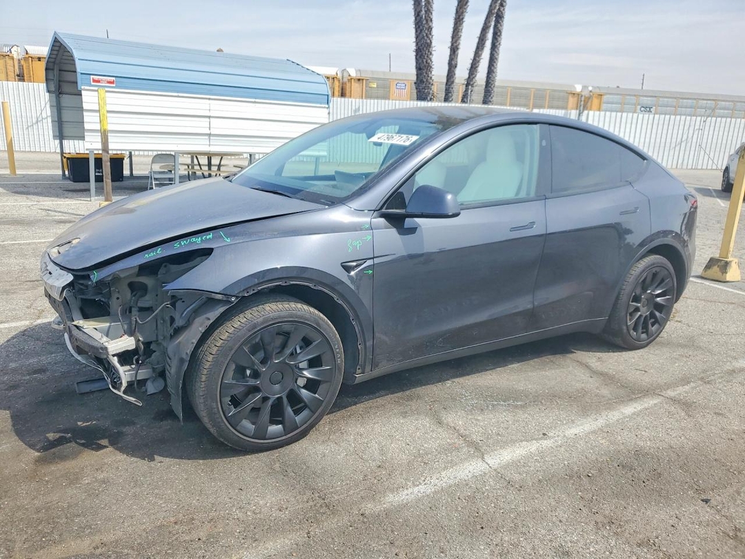 Вид 2024 TESLA MODEL Y, угол 1