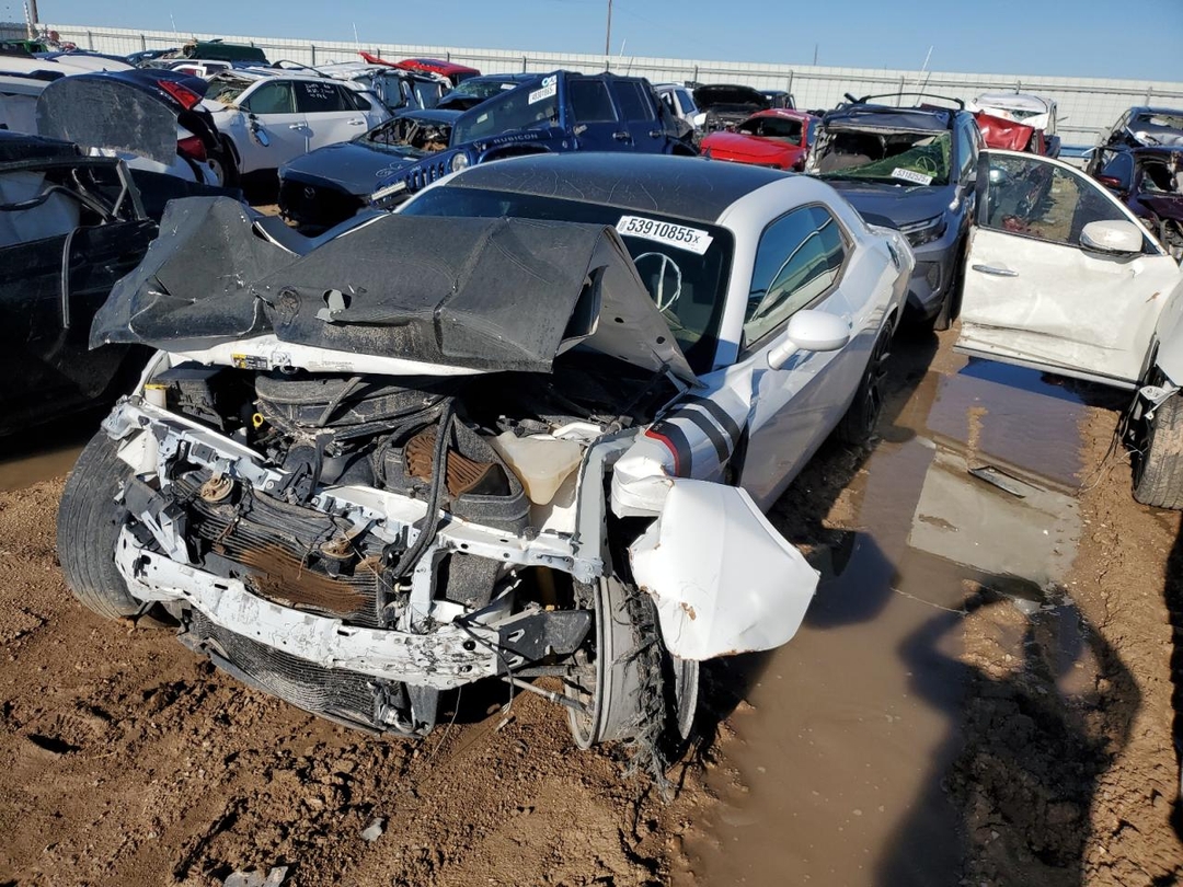 Vista de 2019 DODGE CHALLENGER R/T, ángulo 1