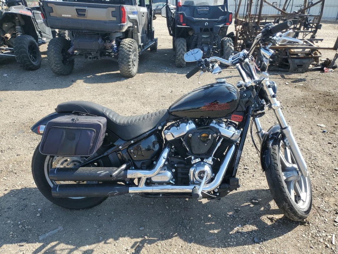 Vue de 2023 HARLEY-DAVIDSON FXST, angle 1