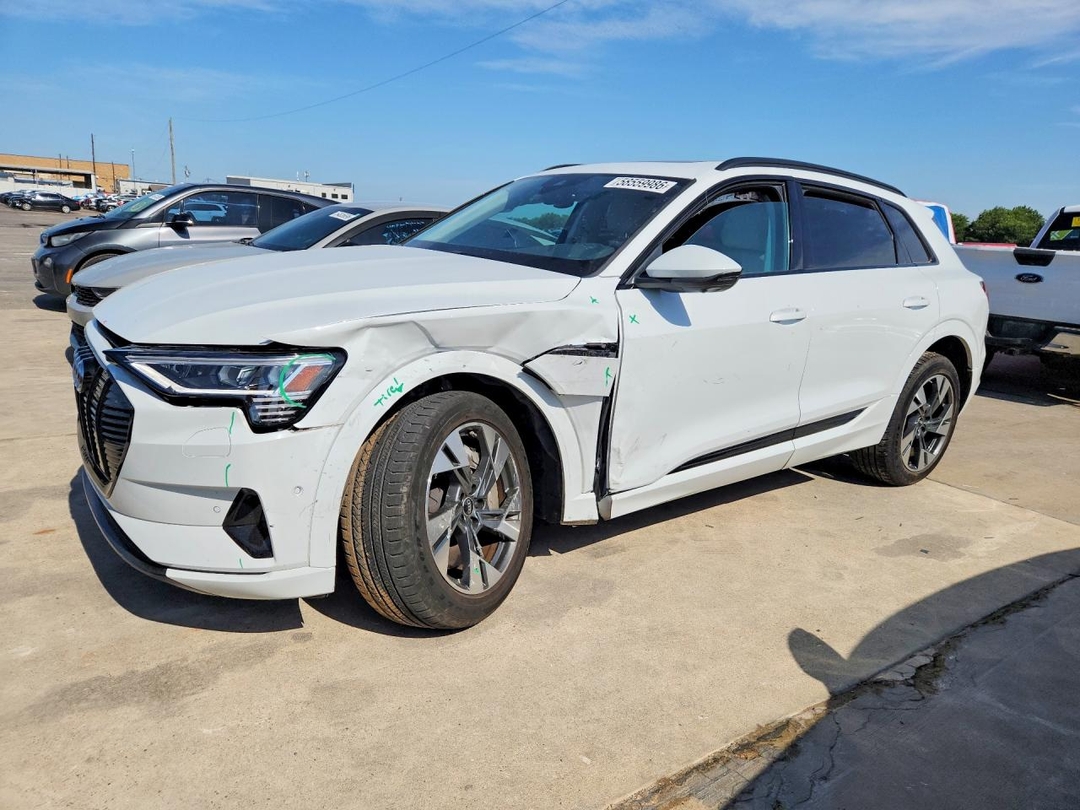 Вид 2022 AUDI E-TRON PREMIUM, угол 1