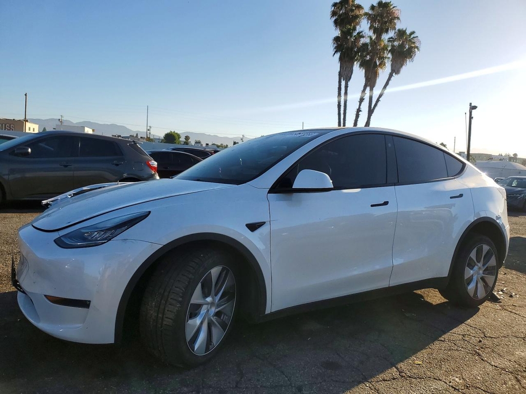 Вид 2023 TESLA MODEL Y, угол 1