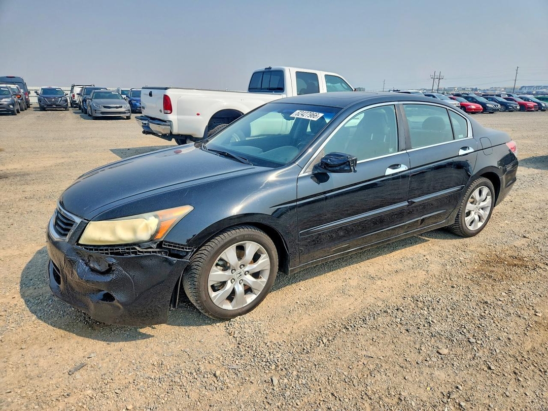 Вид 2009 HONDA ACCORD EXL, угол 1