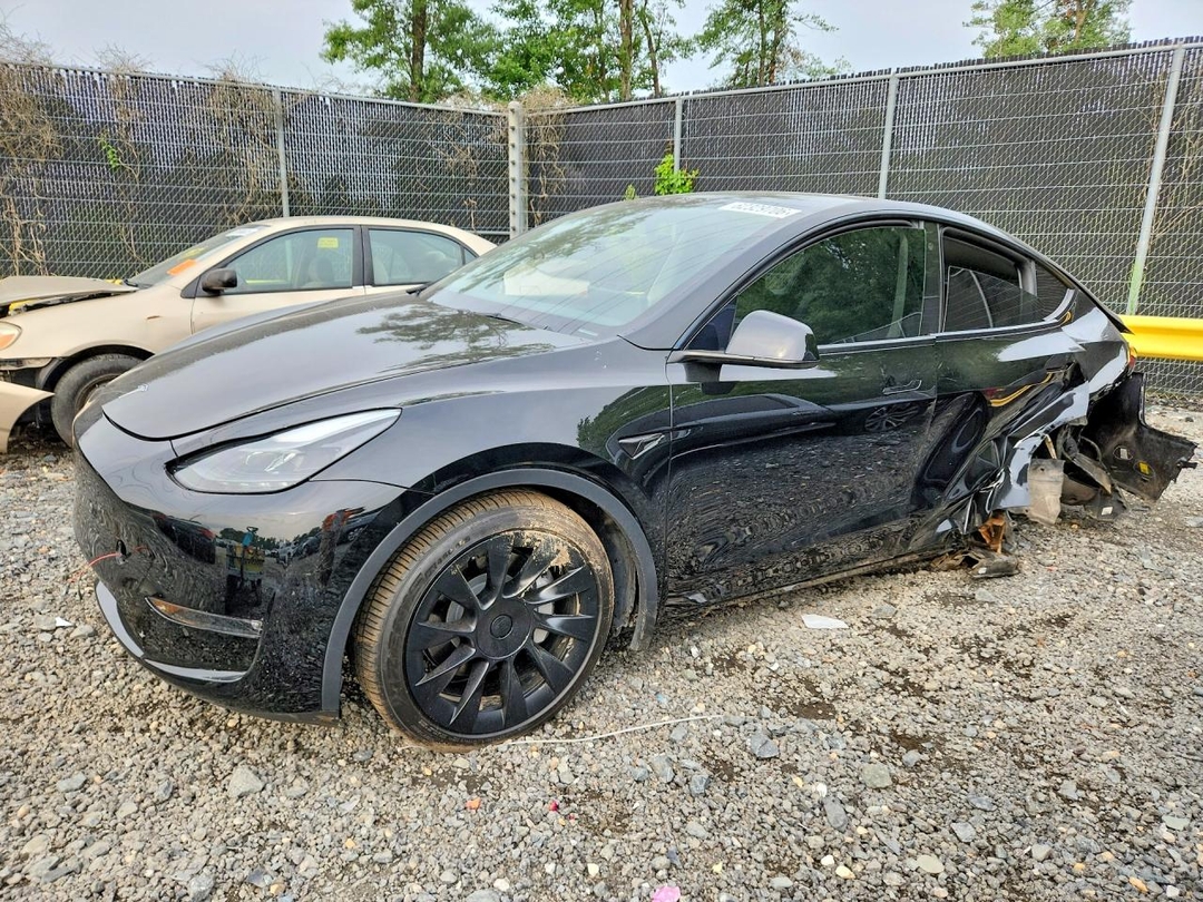 Вид 2023 TESLA MODEL Y, угол 1