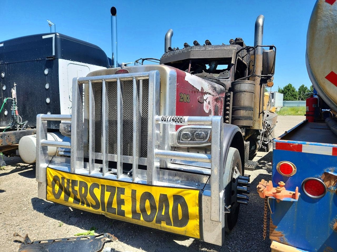 Вид 2019 PETERBILT 389 SEMI TRUCK, угол 1