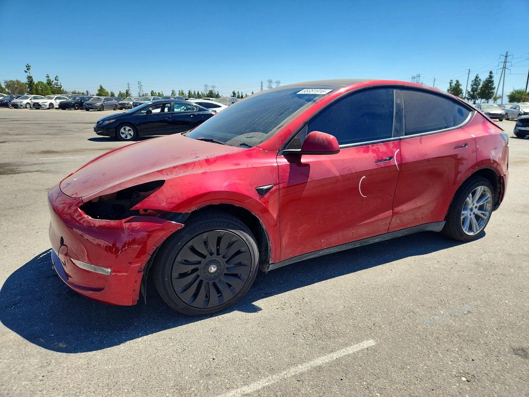 Вид 2024 TESLA MODEL Y, угол 1
