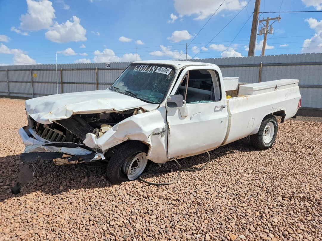 Vista de 1981 CHEVROLET C20, ángulo 1