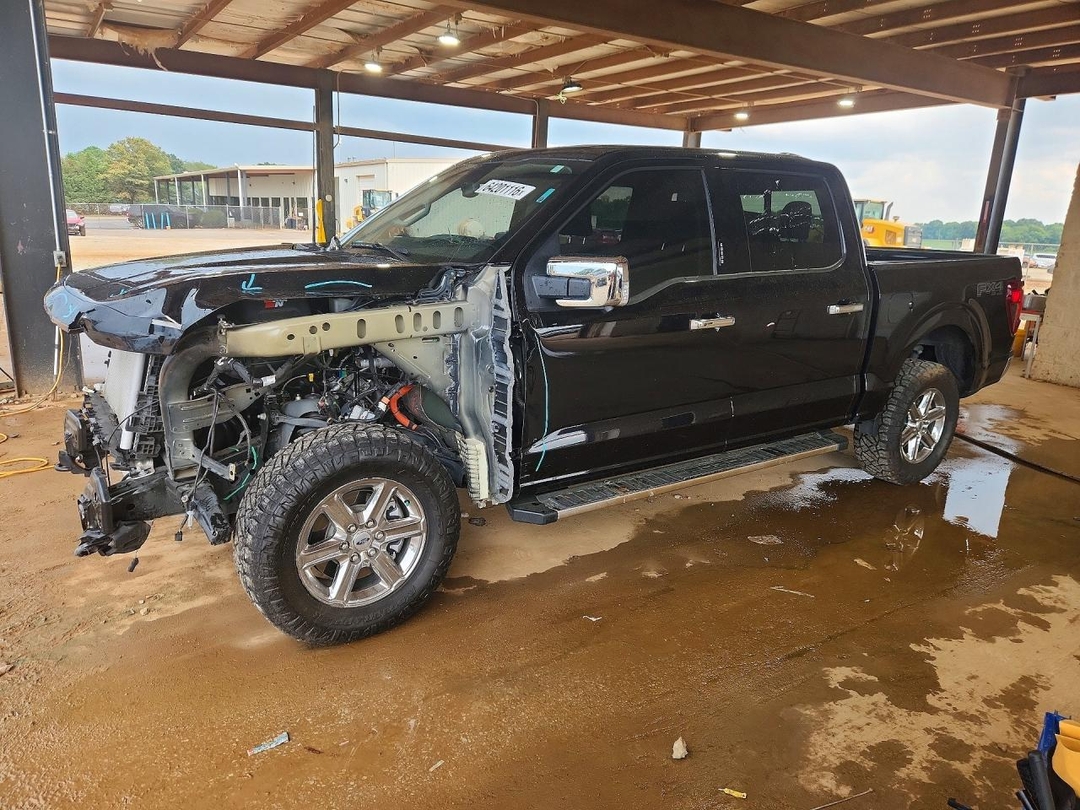 Вид 2024 FORD F150 XLT, угол 1