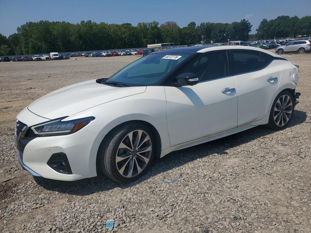 Вид 2023 NISSAN MAXIMA PLATINUM, угол 1