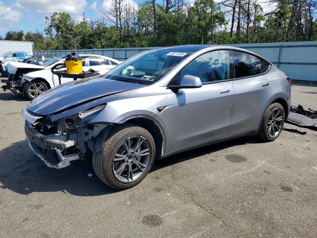 Вид 2025 TESLA MODEL Y, угол 1
