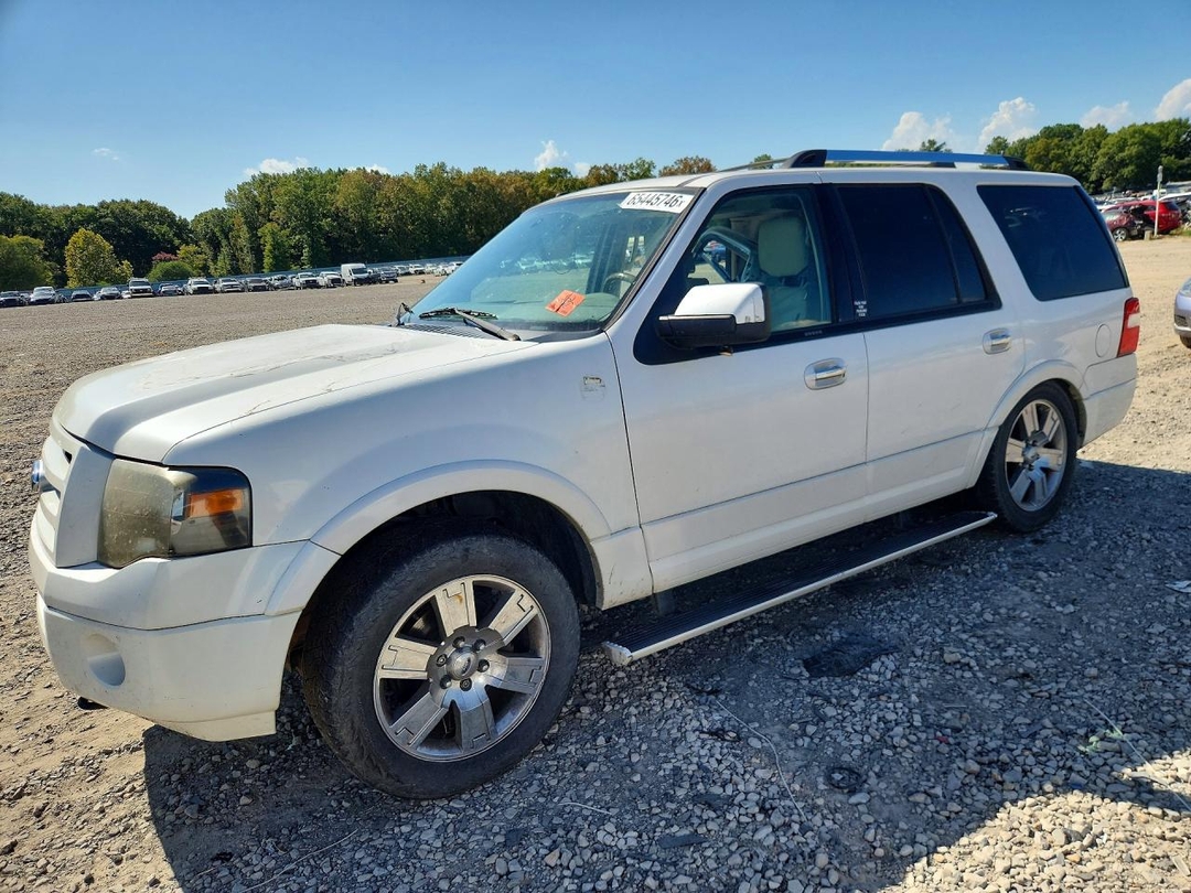 منظر 2010 FORD EXPEDITION LIMITED، زاوية 1