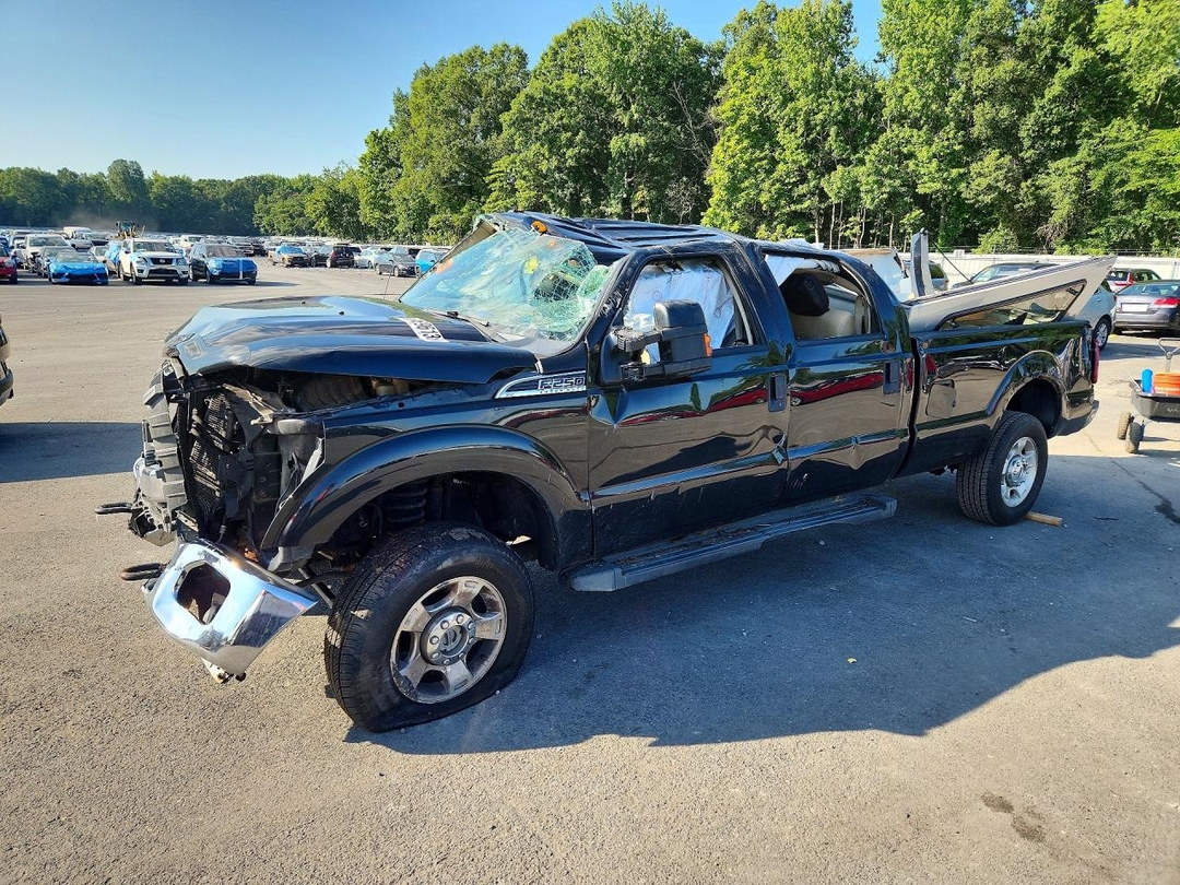 Vista de 2014 FORD SUPER DUTY F-250 W/S, ángulo 1