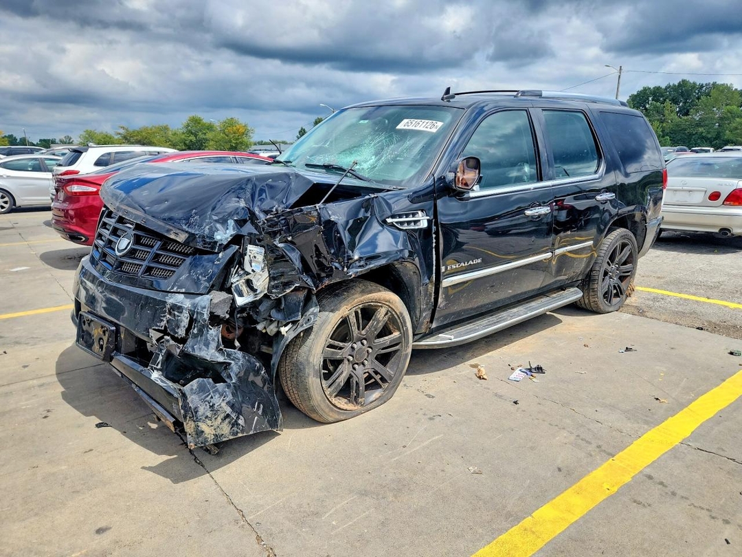 Вид 2007 CADILLAC ESCALADE LUXURY, угол 1