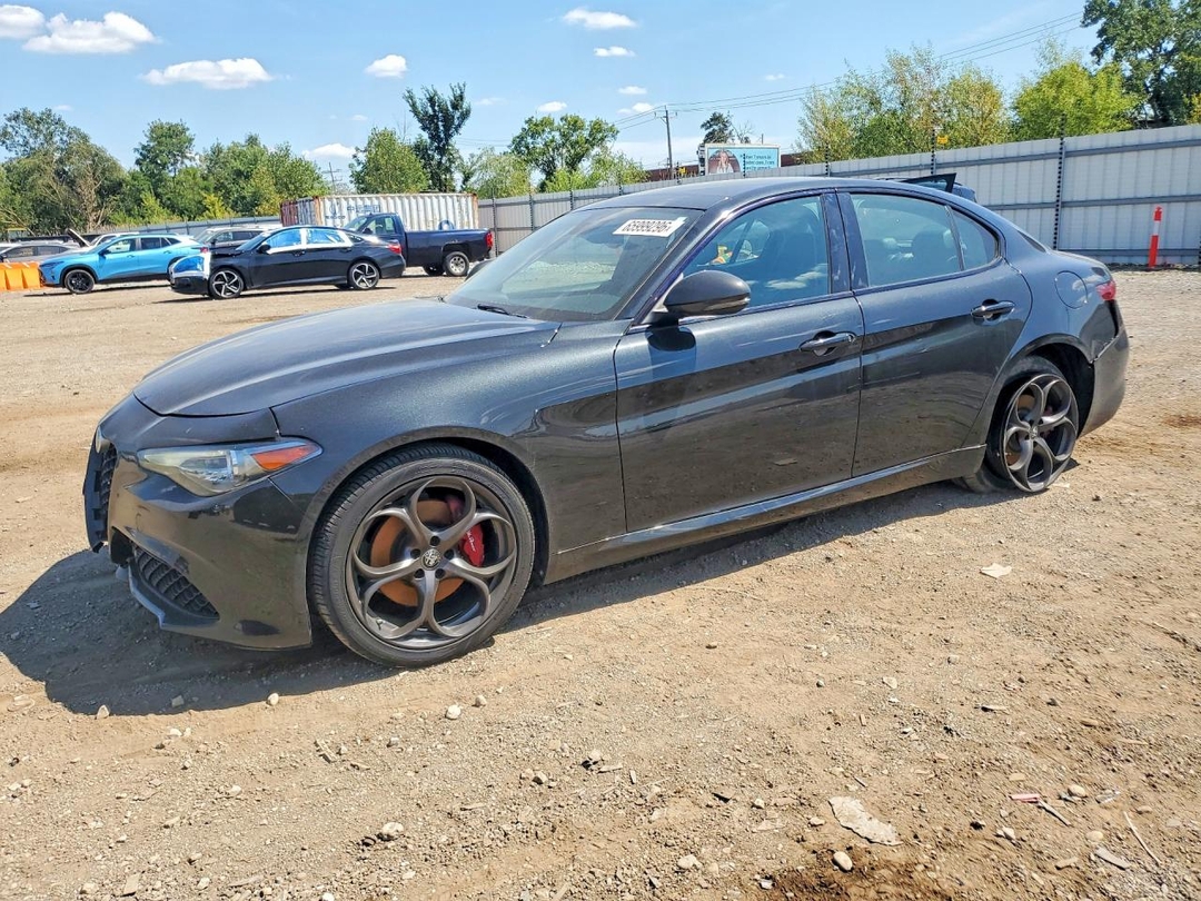 Vedere 2019 ALFA ROMEO GIULIA, unghi 1