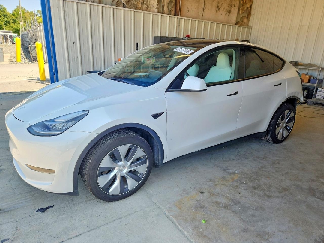 Вид 2023 TESLA MODEL Y, угол 1