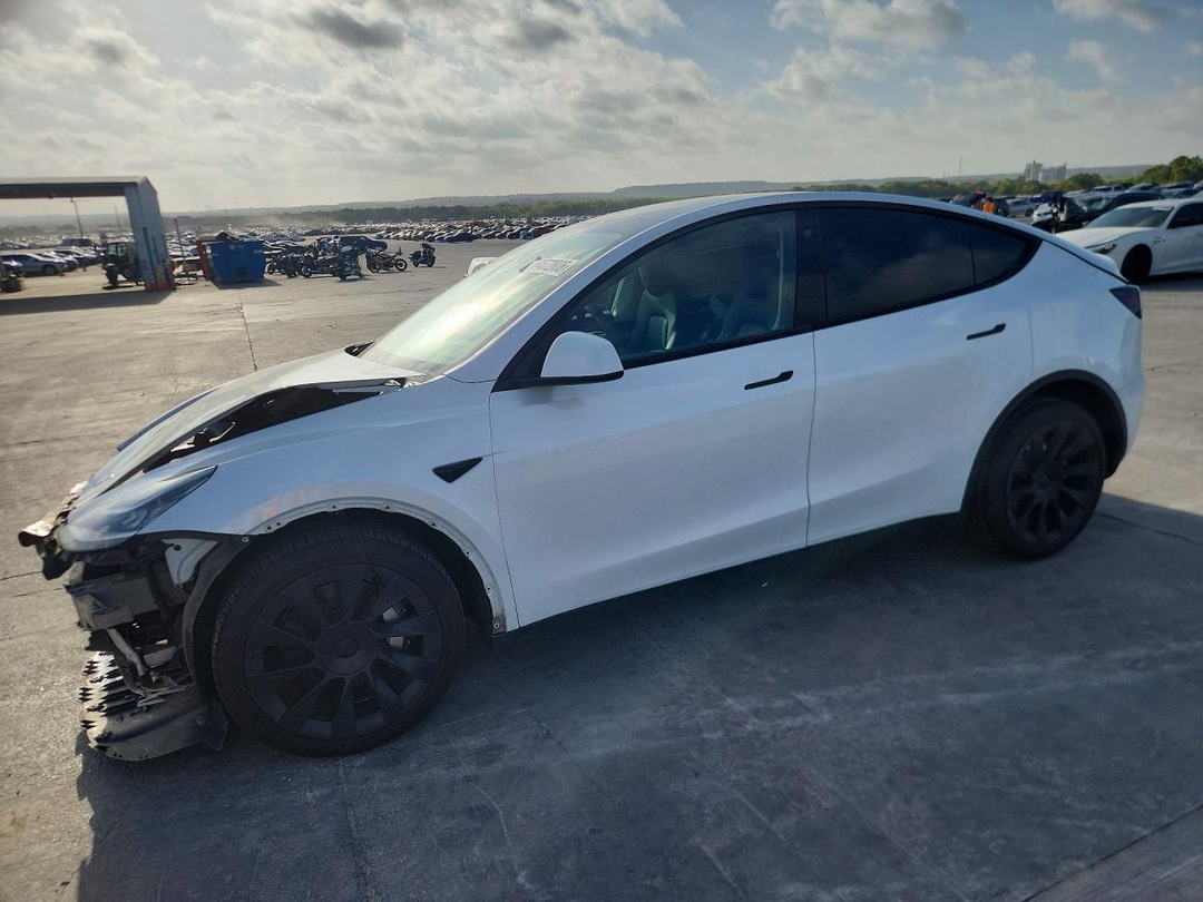 Вид 2023 TESLA MODEL Y, угол 1