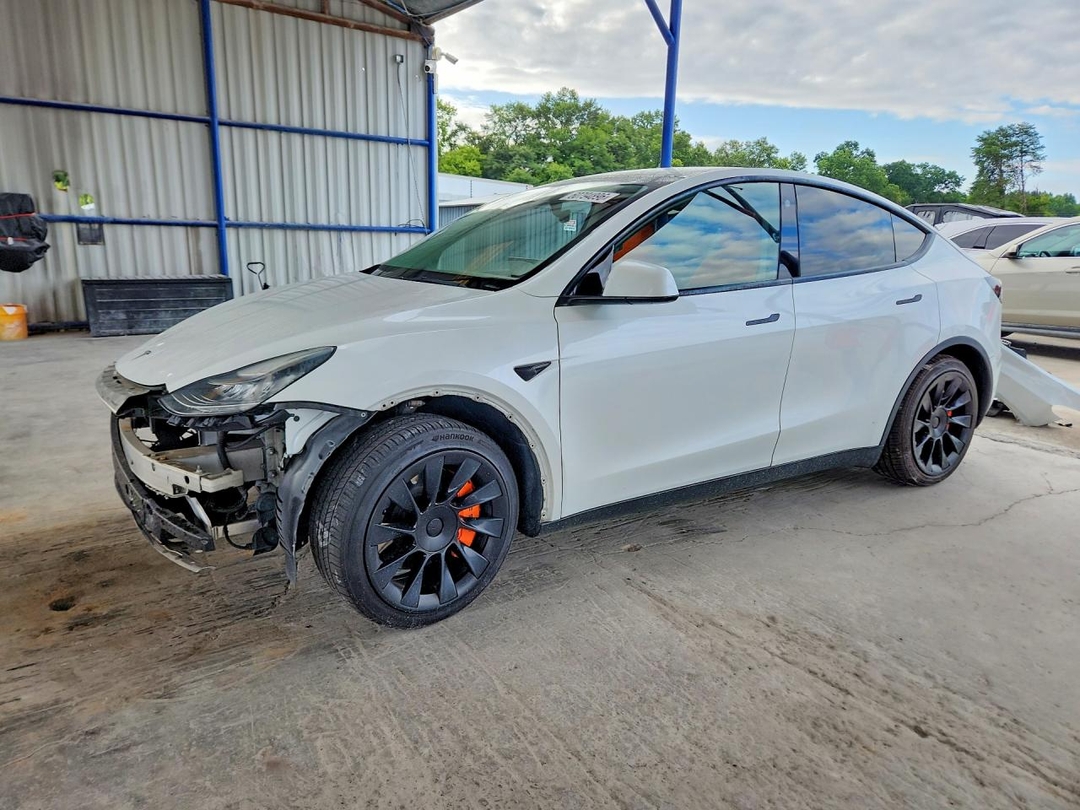 منظر 2021 TESLA MODEL Y، زاوية 1