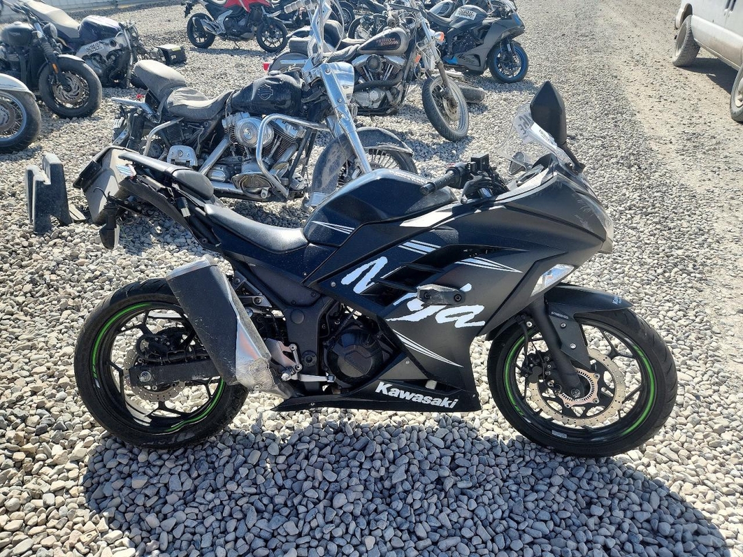 Vista de 2017 KAWASAKI EX300 B, ángulo 1