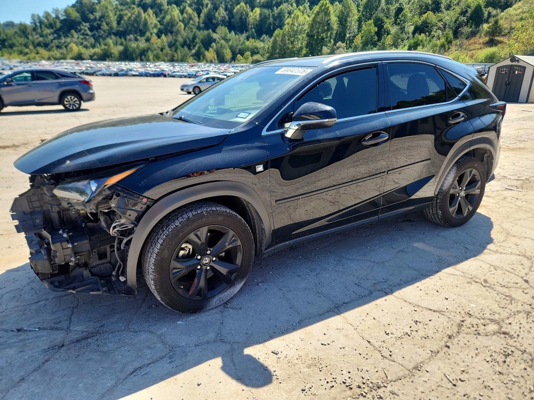 Vista de 2019 LEXUS NX 300 F SPORT, ángulo 1
