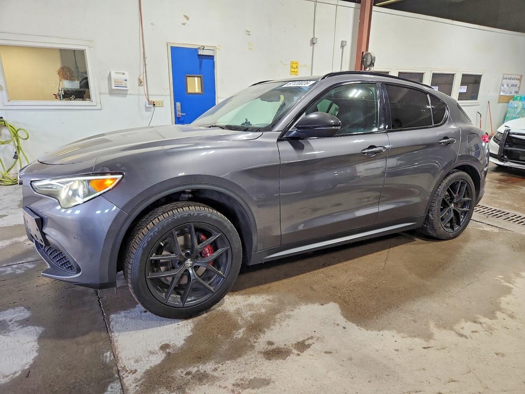 Вид 2019 ALFA ROMEO STELVIO TI, угол 1