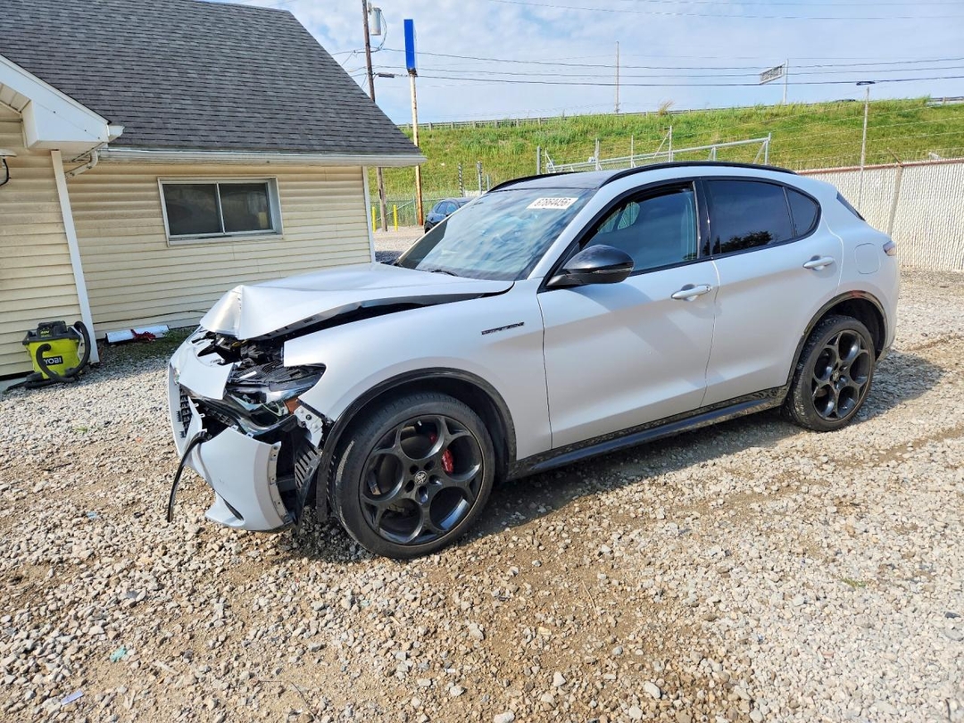 منظر 2024 ALFA ROMEO STELVIO TI، زاوية 1