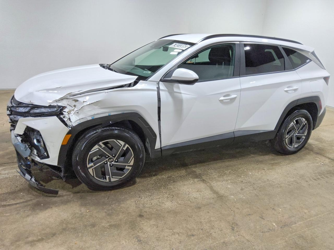 منظر 2025 HYUNDAI TUCSON BLUE، زاوية 1
