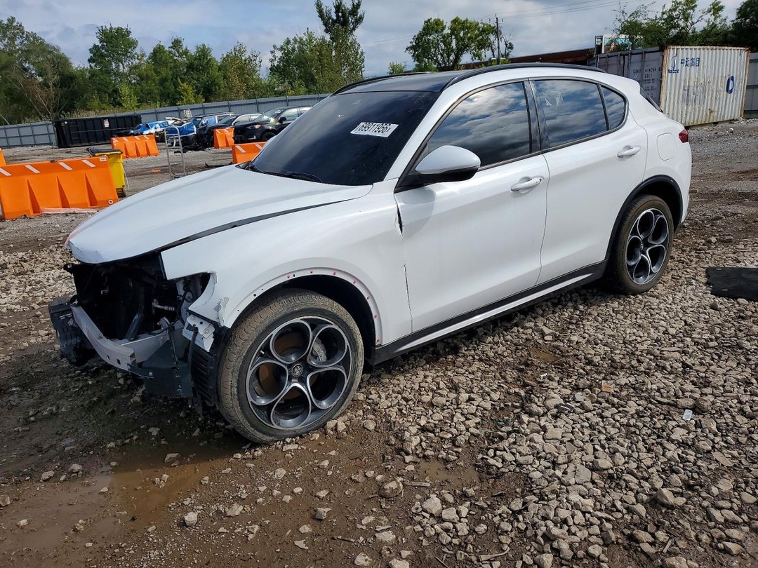Вид 2022 ALFA ROMEO STELVIO TI, угол 1