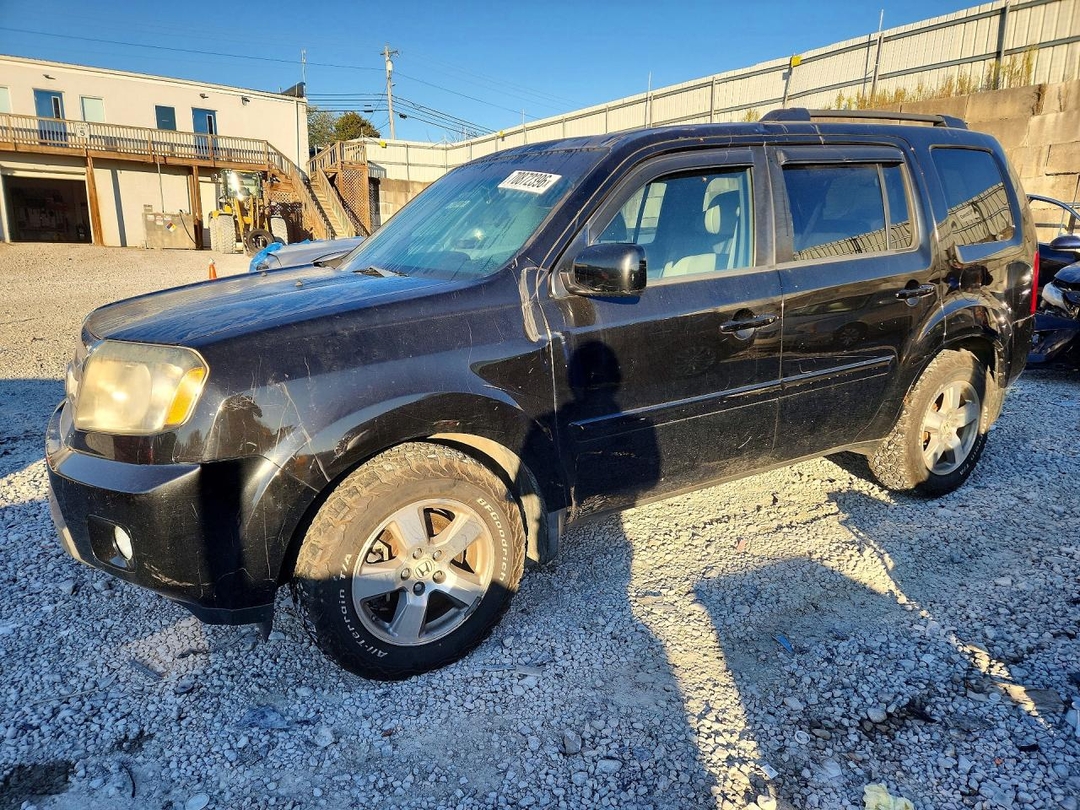 Вид 2010 HONDA PILOT EXL, угол 1