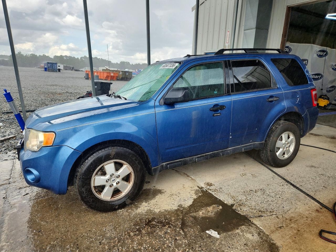 Вид 2009 FORD ESCAPE XLT, угол 1