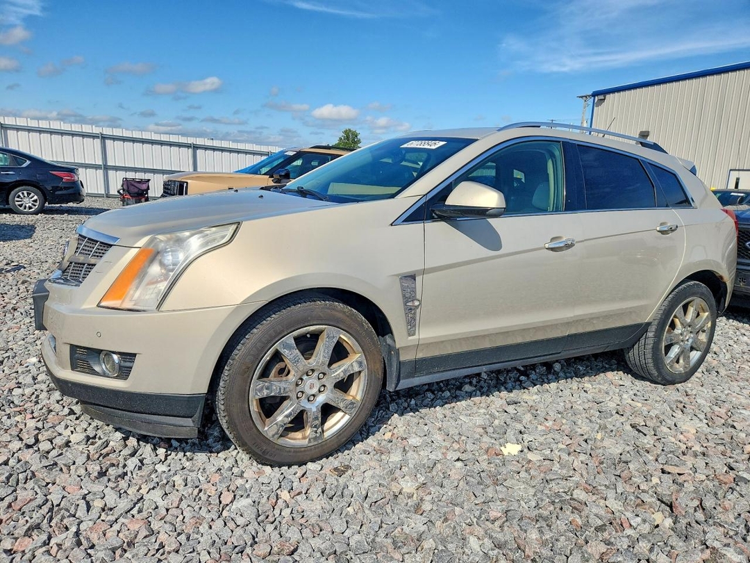 Вид 2010 CADILLAC SRX PREMIUM COLLECTION, угол 1