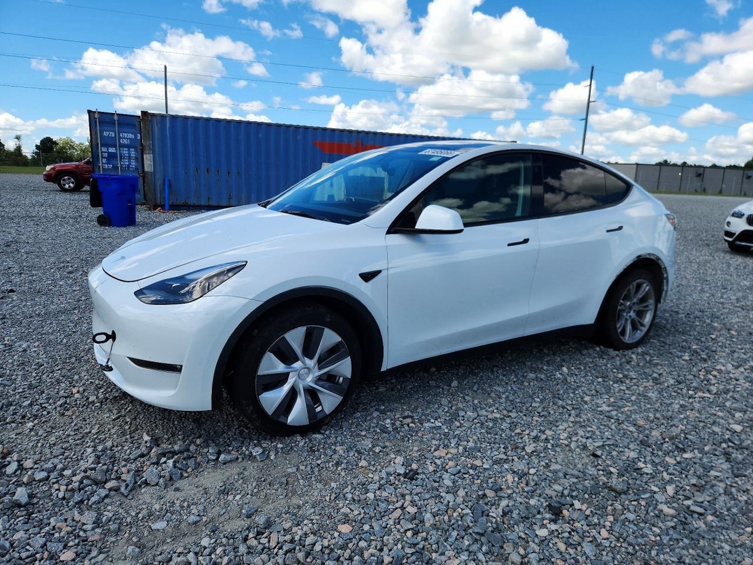 Вид 2024 TESLA MODEL Y, угол 1
