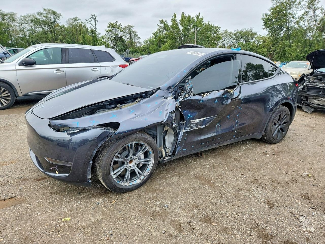 Вид 2024 TESLA MODEL Y, угол 1