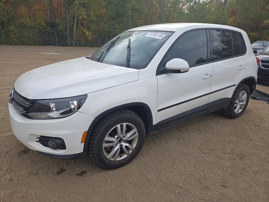 Vue de 2013 VOLKSWAGEN TIGUAN, angle 1