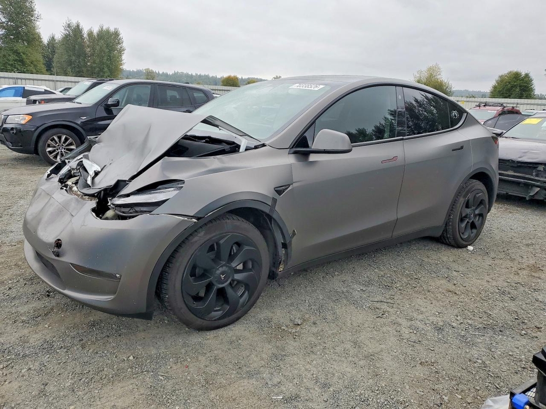 منظر 2023 TESLA MODEL Y، زاوية 1