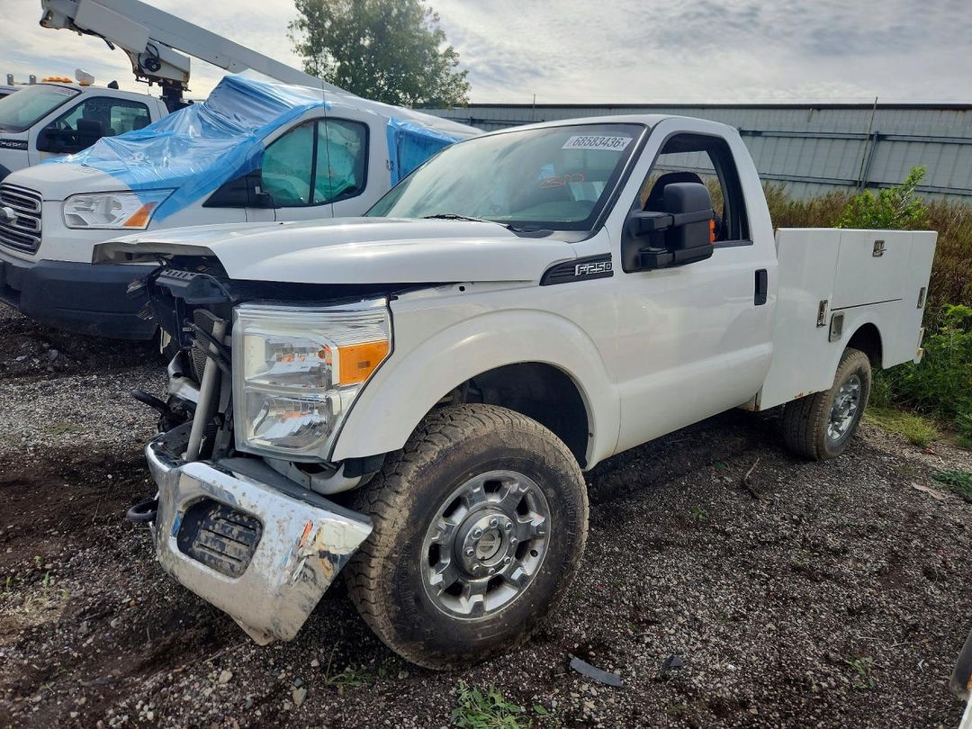 Vista de 2015 FORD F250 SUPER DUTY, ángulo 1