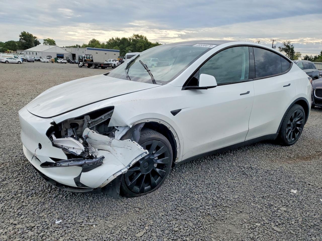 Вид 2023 TESLA MODEL Y, угол 1