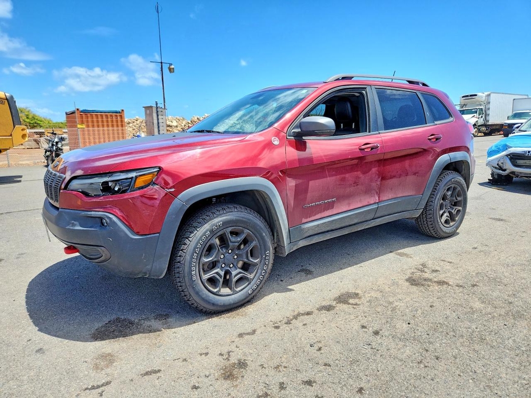Vedere 2019 JEEP CHEROKEE TRAILHAWK, unghi 1