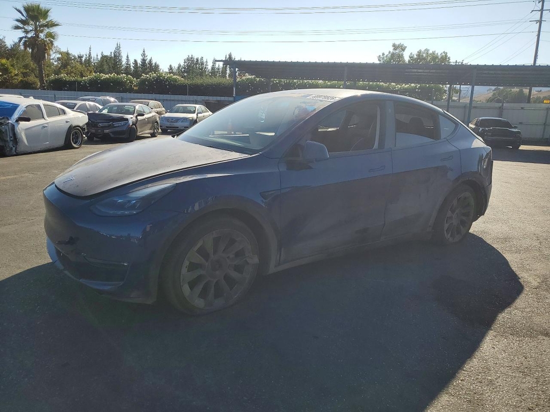 Вид 2022 TESLA MODEL Y, угол 1