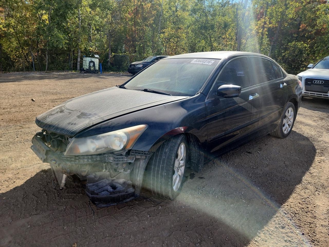 منظر 2010 HONDA ACCORD EXL، زاوية 1
