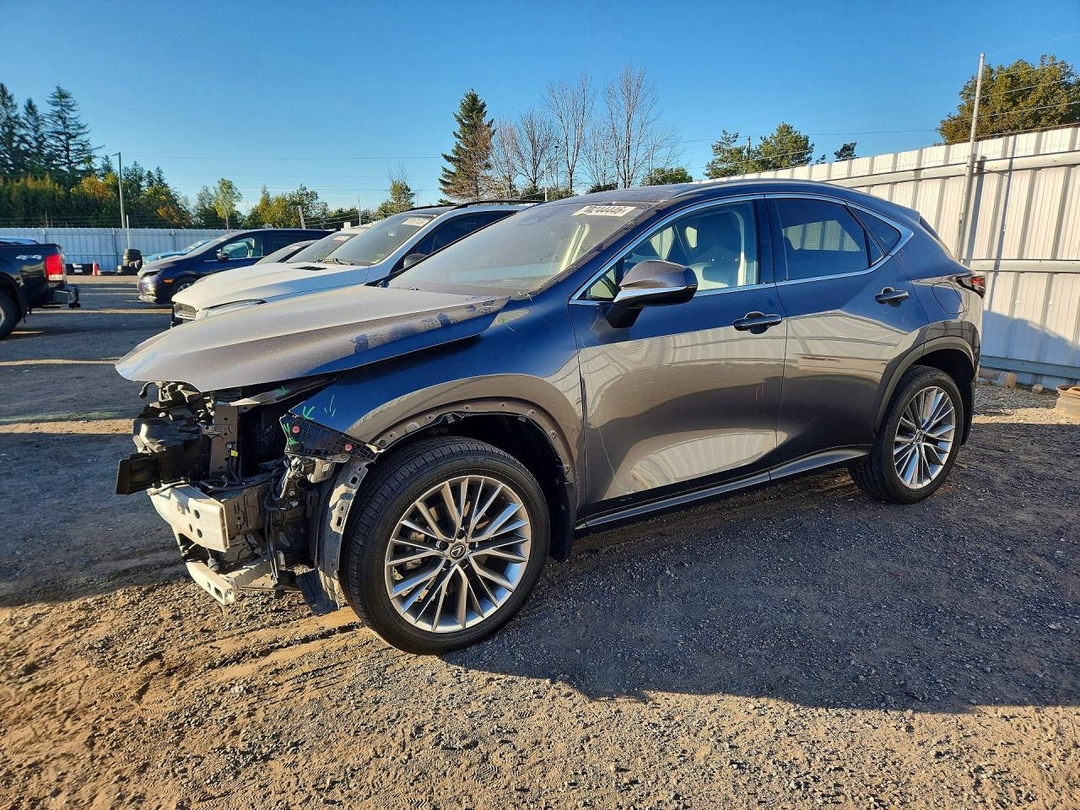 2022 LEXUS NX 350 view, angle 1