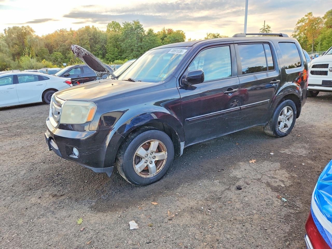 Вид 2010 HONDA PILOT EX, угол 1
