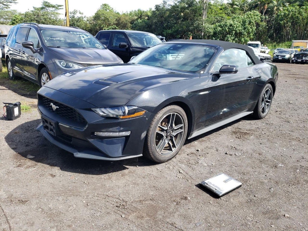 Вид 2023 FORD MUSTANG, угол 1