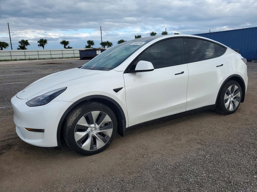 Вид 2023 TESLA MODEL Y, угол 1