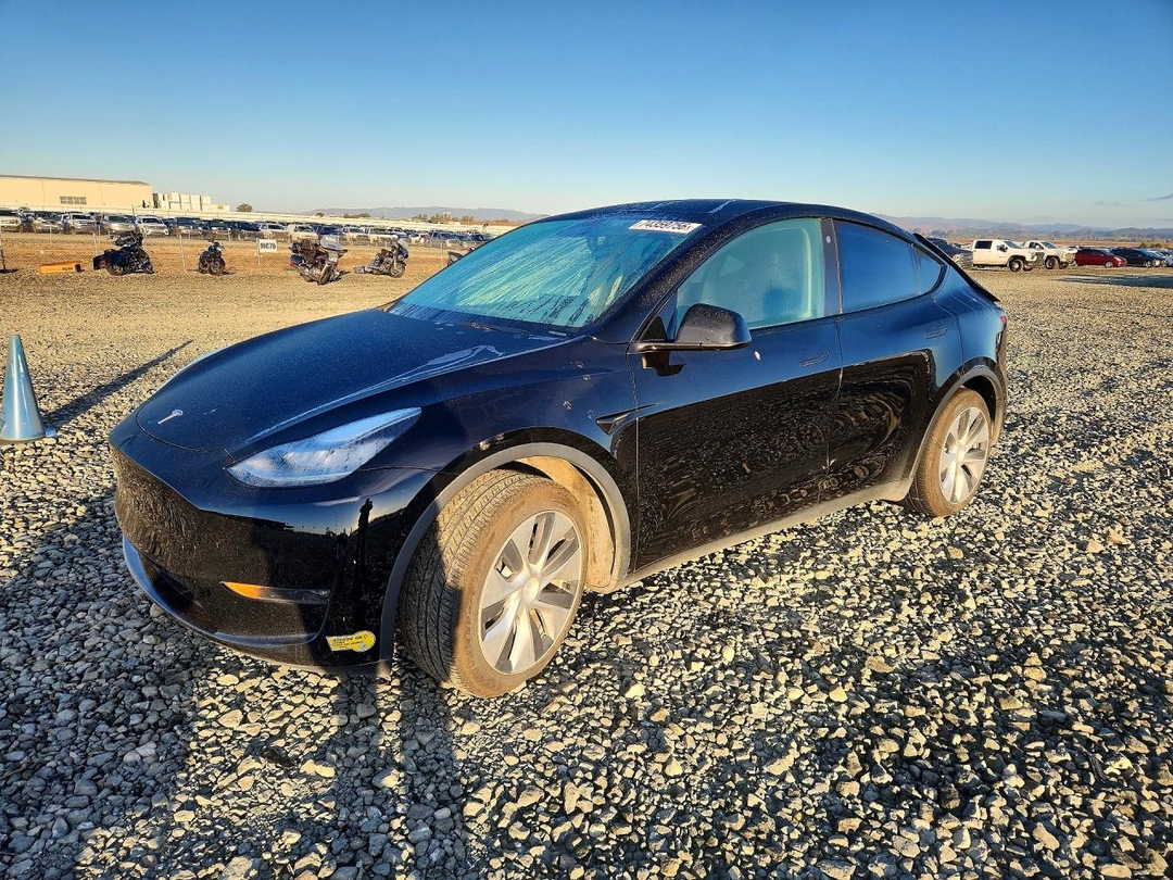 منظر 2021 TESLA MODEL Y، زاوية 1