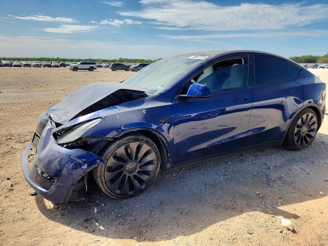 منظر 2024 TESLA MODEL Y، زاوية 1
