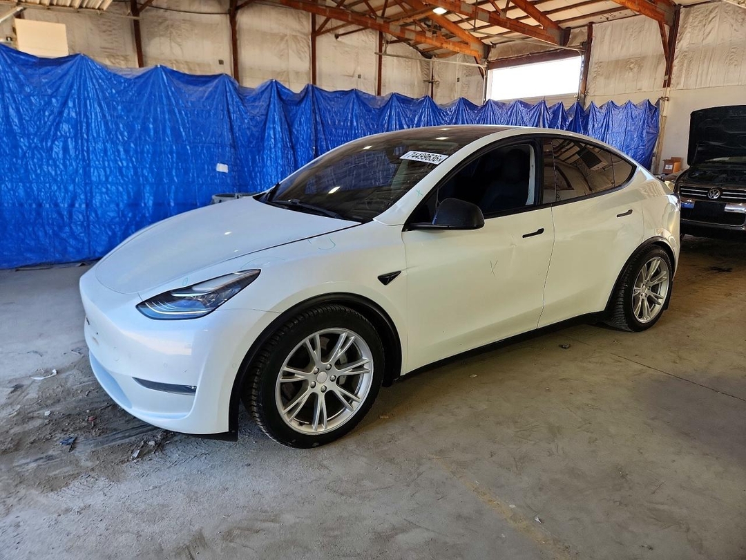 Вид 2020 TESLA MODEL Y, угол 1