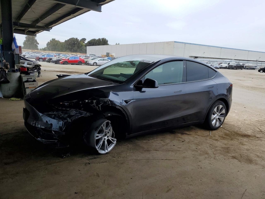 Вид 2024 TESLA MODEL Y, угол 1