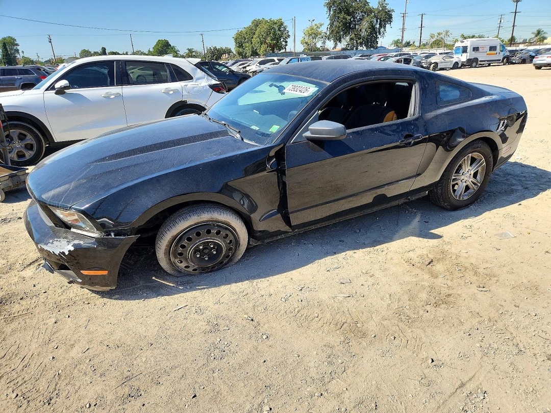 Вид 2012 FORD MUSTANG, угол 1