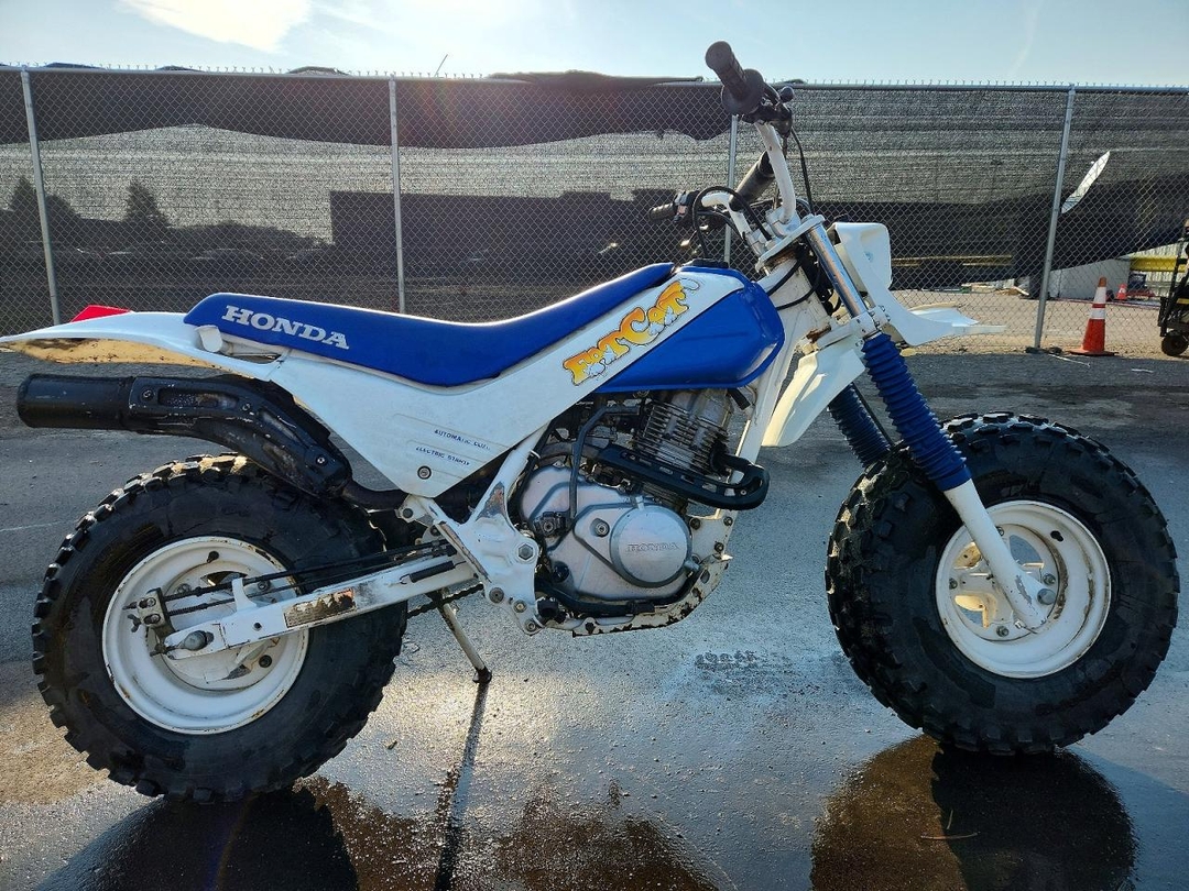 منظر 1987 HONDA TR200، زاوية 1