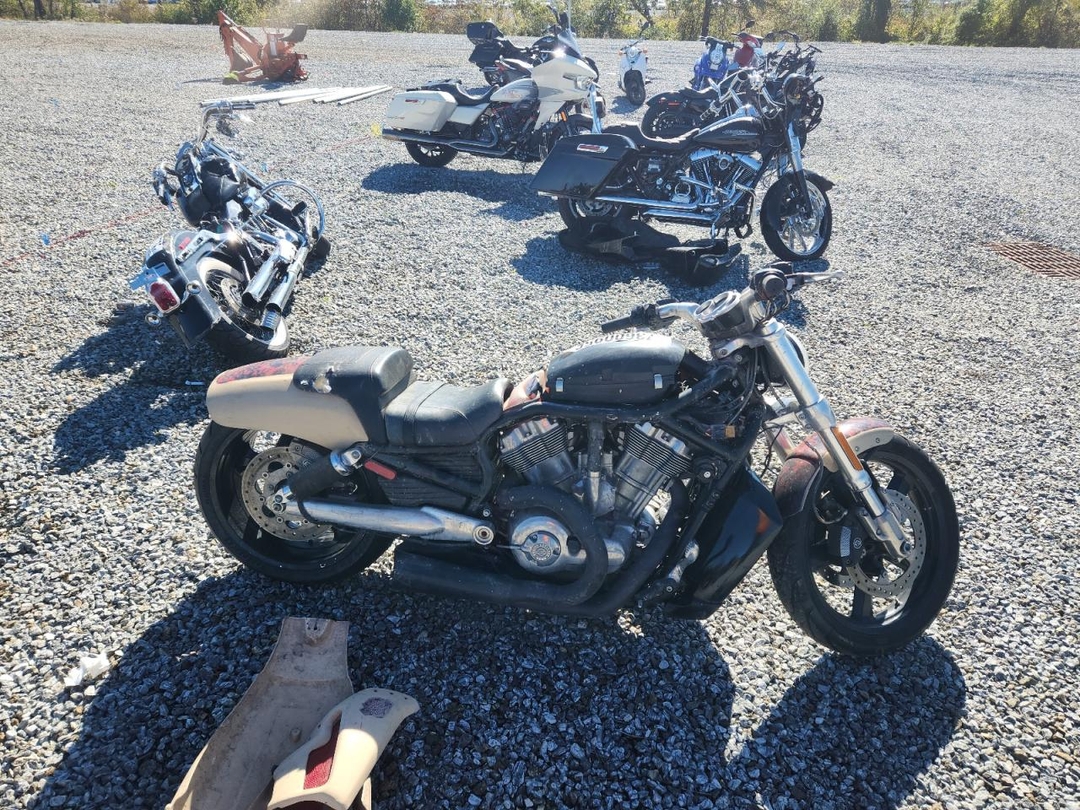 Вид 2015 HARLEY-DAVIDSON VRSCF VROD MUSCLE, угол 1